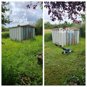 Photo de galerie - Tonte