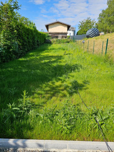 Photo de galerie - Tonte de pelouse - Débroussaillage