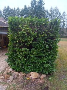 Photo de galerie - Avant