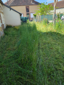 Photo de galerie - Débroussaillage.