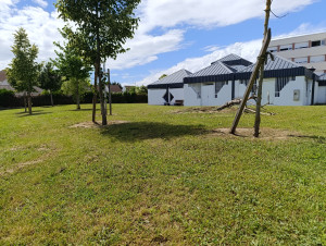 Photo de galerie - Après 