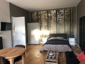 Photo de galerie - Rénovation d un studio complet du sol au plafond et installation des meubles et de la décoration complète 