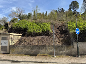 Photo de galerie - Nettoyage talus 