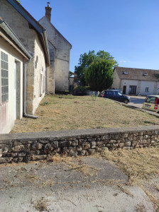 Photo de galerie - Tonte de pelouse - Débroussaillage