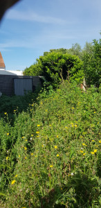 Photo de galerie - Avant 