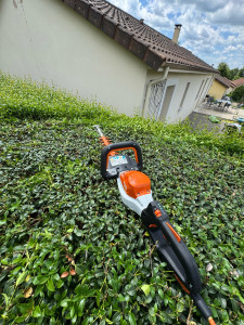 Photo de galerie - Taille de haies et d'arbustes