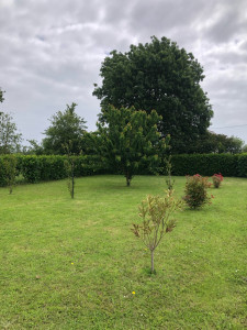 Photo de galerie - Jardin 