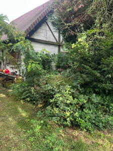 Photo de galerie - Avant 