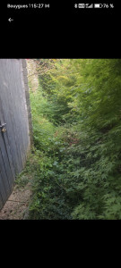 Photo de galerie - Jardinier