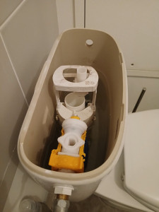 Photo de galerie - Changé une chasse d'eau 