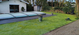 Photo de galerie - Tonte de pelouse - Débroussaillage