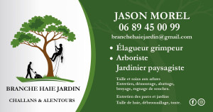 Photo de galerie - Elagage et coupe d'arbres