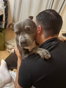 Photo de galerie - Garde animaux