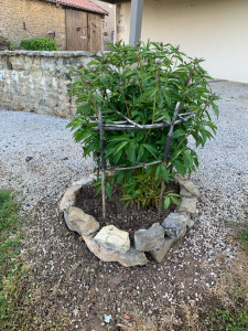 Photo de galerie - Petits et grands jardins