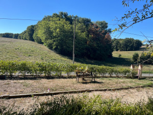Photo de galerie - Travail terminé propre