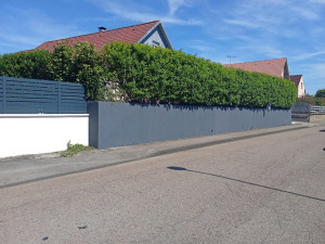 Photo de galerie - Peinture 