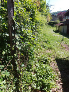 Photo de galerie - Clôture jardin 
