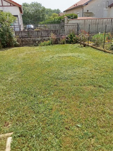 Photo de galerie - Débroussaillage effectué chez un client 