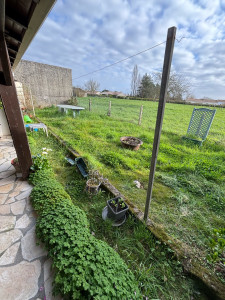 Photo de galerie - Tonte de pelouse - Débroussaillage