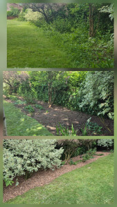 Photo de galerie - Paysagiste - Aménagement du jardin