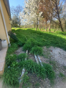 Photo de galerie - Tonte de pelouse - Débroussaillage
