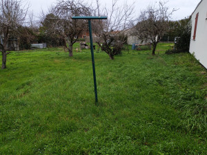 Photo de galerie - Débroussaillage 