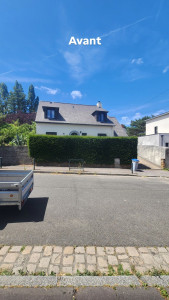 Photo de galerie - Taille de haies et d'arbustes