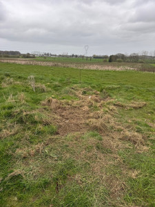 Photo de galerie - Après 