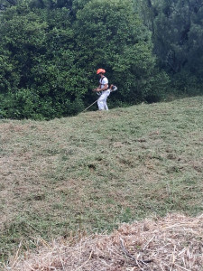 Photo de galerie - Debroussallage