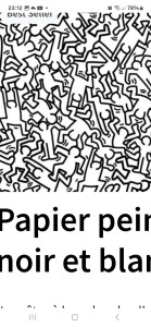 Photo de galerie - Couvertures du mur, toile de verre,papier peinte (travaux désolation biologic avec argiles naturelle )