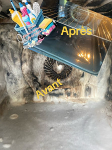 Photo de galerie - Gants de ménage
