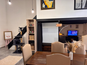 Photo de galerie - Nettoyage du bois