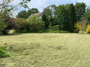 Photo de galerie - Après 