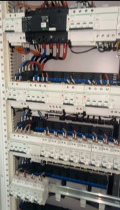 Photo de galerie - C’est quand y’avait travaux à la notre dame de Paris 