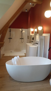 Photo de galerie - Pose sanitaire 