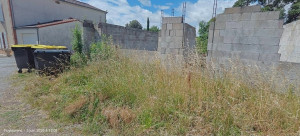 Photo de galerie - Tonte de pelouse - Débroussaillage