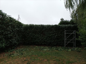 Photo de galerie - Haies après 