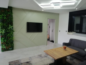 Photo de galerie - Pose de tasseaux décoratif et mur végétal artificiel. Création de prise électrique derrière la télévision.
Peinture de couleur au choix du client.
Pose de luminaire.