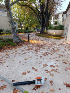 Photo de galerie - Ramassage des feuilles : Automne,2 avant 