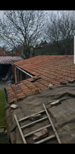 Photo de galerie - Couverture - Toiture