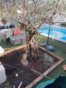 Photo de galerie - Paysagiste - Aménagement du jardin