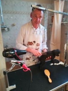 Photo de galerie - Catovien depuis 17 ans je propose mes services de toiletteurs pour chiens et chats à domicile sur chatou 
Vous pouvez me joindre pour un rendez-vous au 06 03 53 15 03 