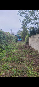 Photo de galerie - Grosse débroussaillage avec arrache de souche et coupe d'arbre avec ma minipelle et terrassement pour assainissement