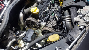 Photo de galerie - Courroie de distribution 