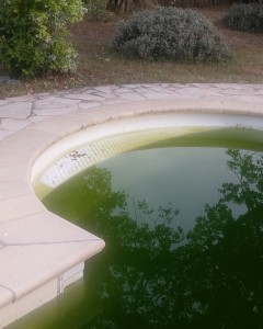 Photo de galerie - Rattrapage eau verte + entretien piscine 