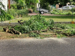 Photo de galerie - Paysagiste - Aménagement du jardin