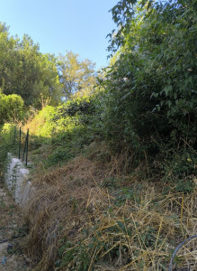 Photo de galerie - Tonte de pelouse - Débroussaillage