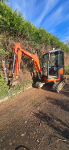 Photo de galerie - Taille de haie de 4m50 