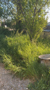 Photo de galerie - (avant)