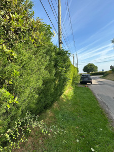 Photo de galerie - AVANT